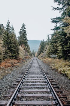 Captivating view of a railroad stretching through a verdant forest with clear skies.