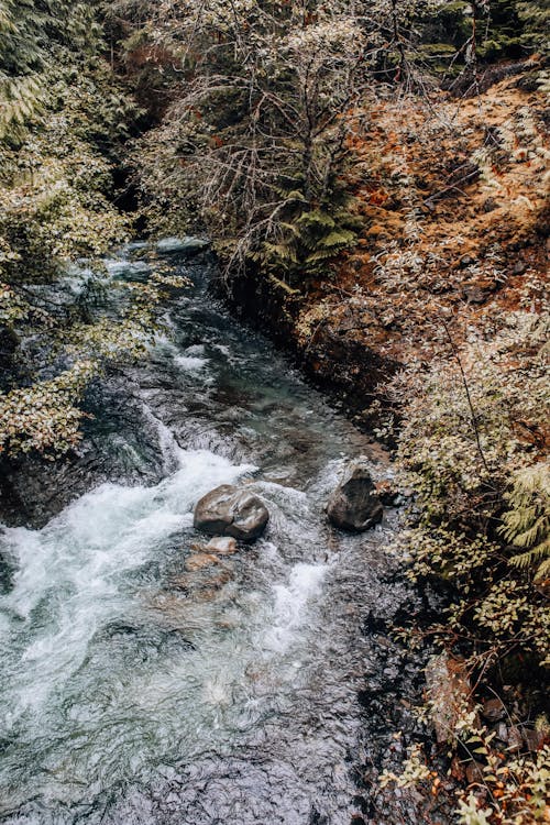 Drone Shot of a Stream