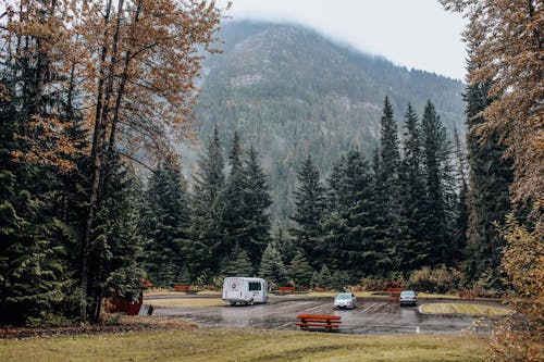 View of a Parking Lot by a Forest