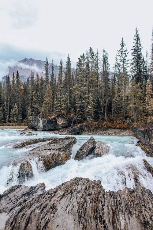 Free Majestic mountain stream flowing through rocky coniferous forest landscape. Stock Photo
