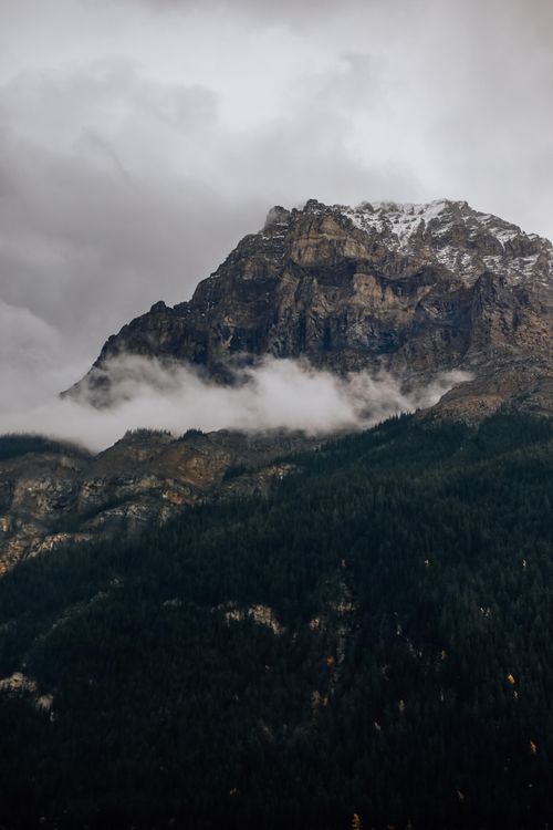 Free A dramatic view of a forested rocky mountain peak shrouded in mist under an overcast sky. Stock Photo