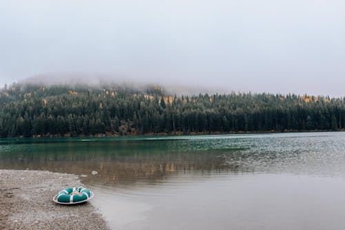 Foto stok gratis air, alam, danau