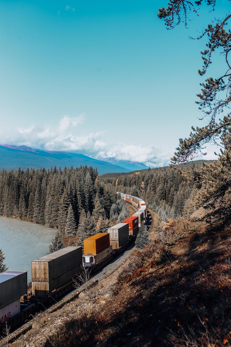 Cargo Train In Forest