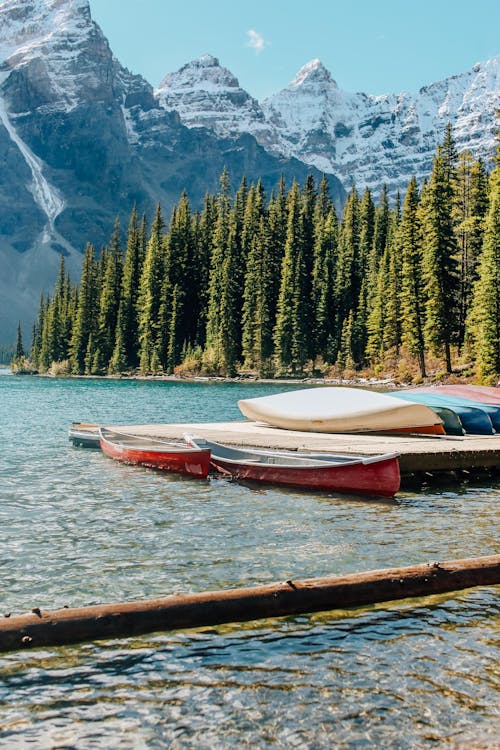 Imagine de stoc gratuită din apă curgătoare, arbori, canoe