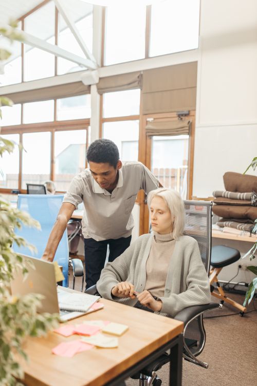 Free Two coworkers engaged in discussion at a workspace with natural light and greenery. Stock Photo