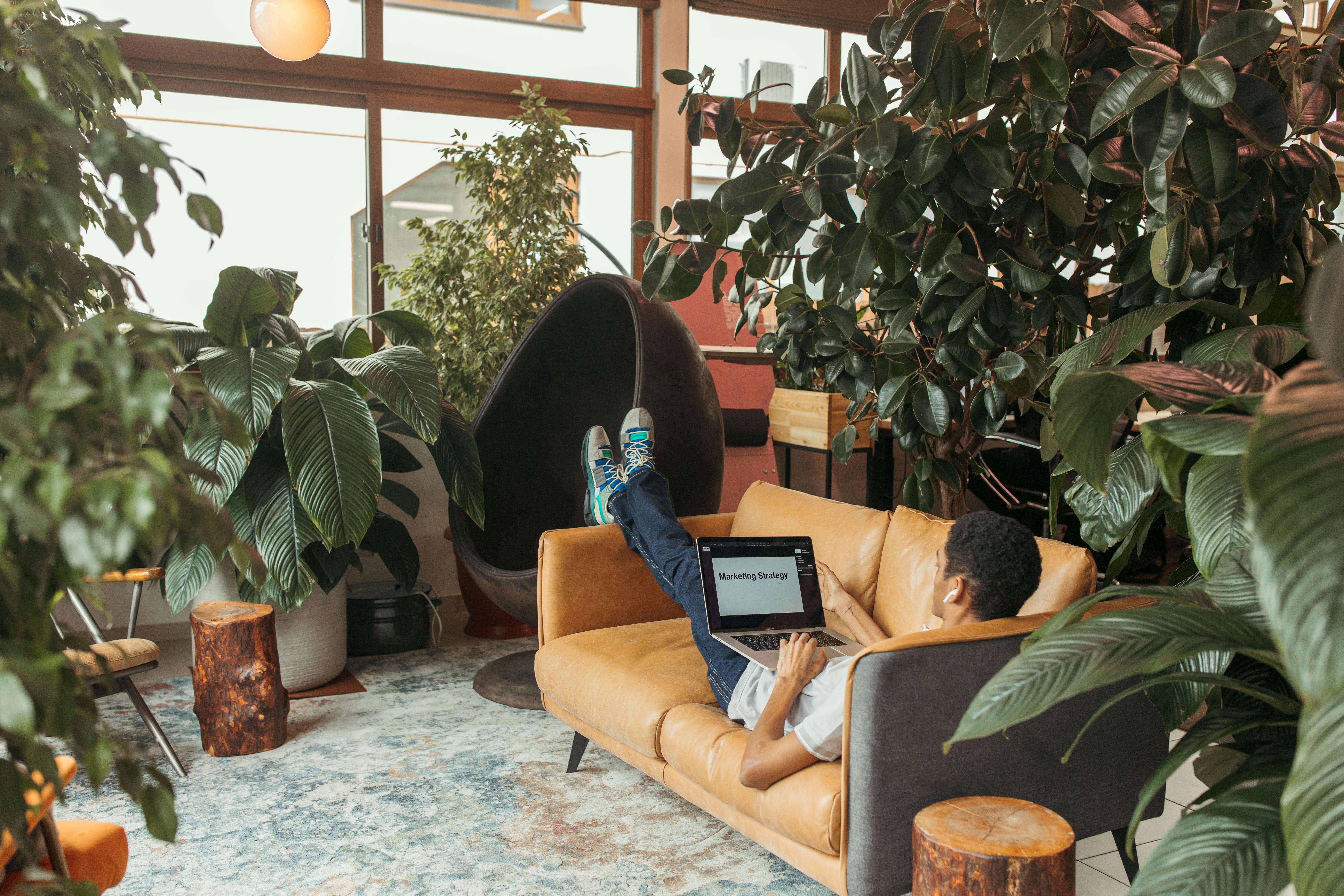 man laying on a couch in an office doing work surrounded by office plants