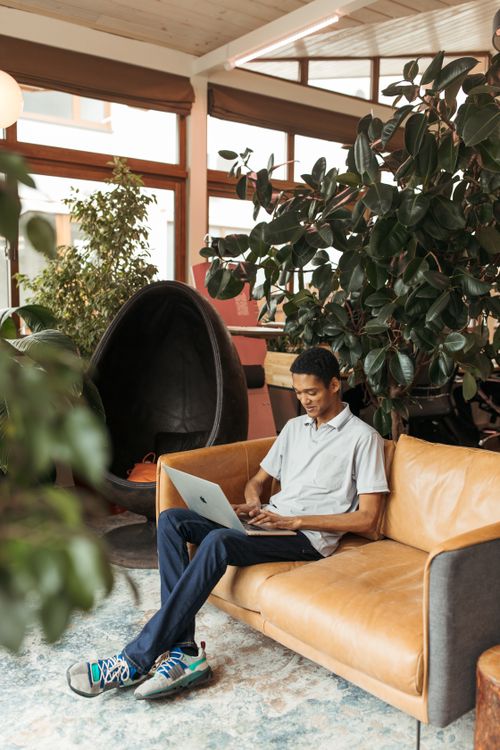 Free Man using laptop in a modern creative workspace surrounded by indoor plants. Stock Photo