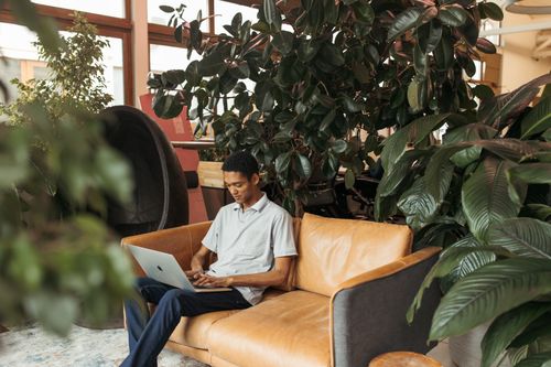 Free An adult man working on a laptop surrounded by lush indoor plants in a cozy workspace. Stock Photo