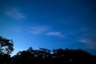 夜空宁静，星光熠熠，深色树木映衬出一片静谧景象