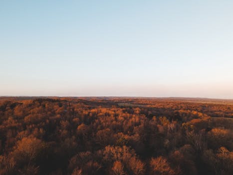 A breathtaking aerial view of an autumn forest in England during sunset, capturing the vibrant colors of fall.