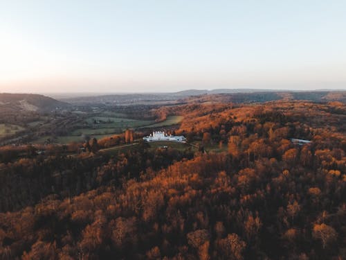 Foto d'estoc gratuïta de arbres, foto aèria, foto des d'un dron