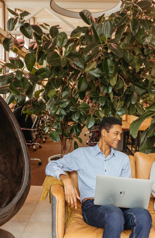 Free A man sitting on a couch, using a laptop in a modern, plant-filled office space. Stock Photo