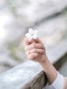 Close-Up Shot of a Person Holding a White Flower