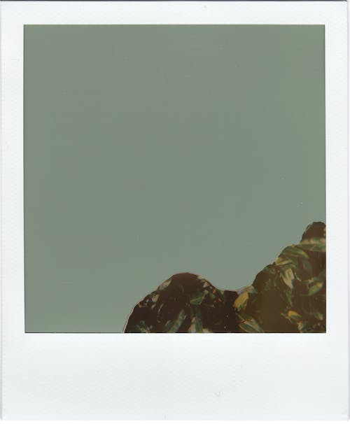 Free A Polaroid of a Green Object Stock Photo