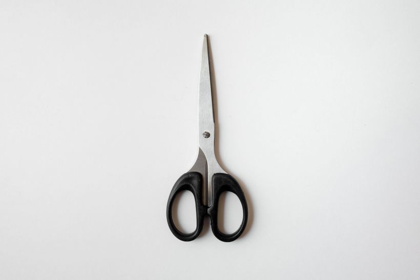Kitchen Shears