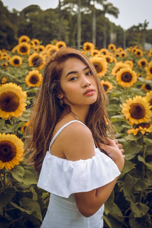 Free Young Woman in White Dress Standing in Sunflower Field Stock Photo