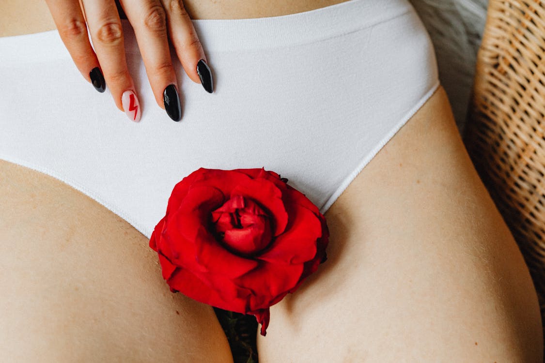 A red rose on a woman’s white panty