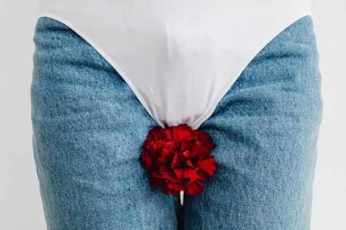 Free Artistic close-up with red carnation between blue jeans and white fabric, symbolizing nature and fashion. Stock Photo