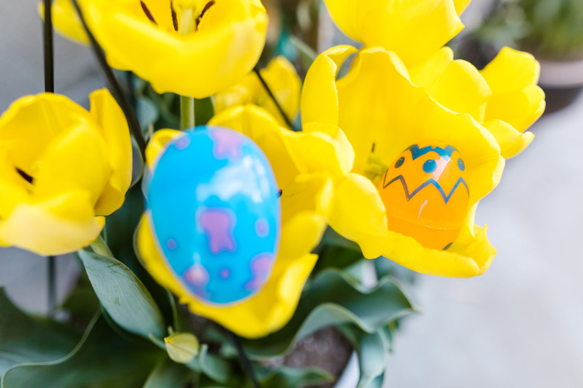 Brightly colored Easter eggs nestled among vibrant yellow tulips symbolizing spring and celebration. — free online jigsaw puzzle on JigsawPuzzlesFreeOnline.org