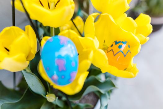 Brightly colored Easter eggs nestled among vibrant yellow tulips symbolizing spring and celebration.