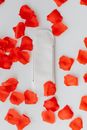A close-up of a sanitary pad surrounded by red petals on a white background, representing feminine hygiene.