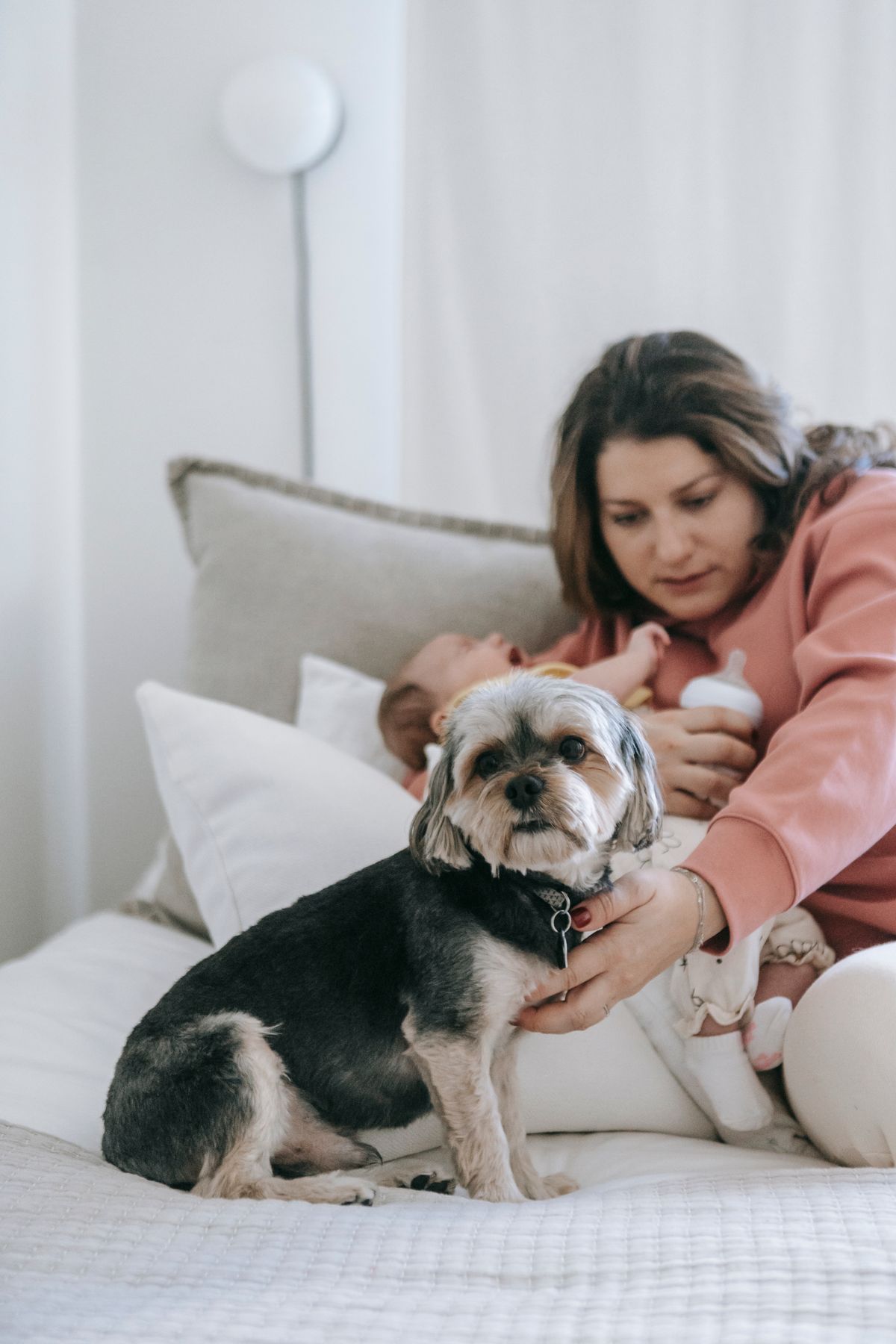 Mãe com bebê e cachorro dentro de casa