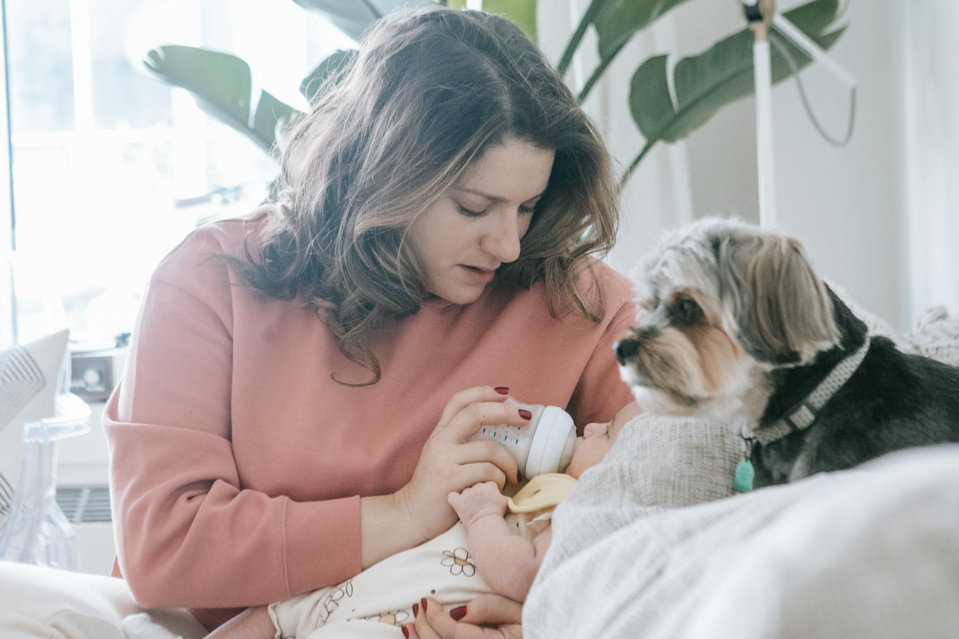 Beautiful female feeding baby in living room with cute puppy while sitting on sofa in daytime