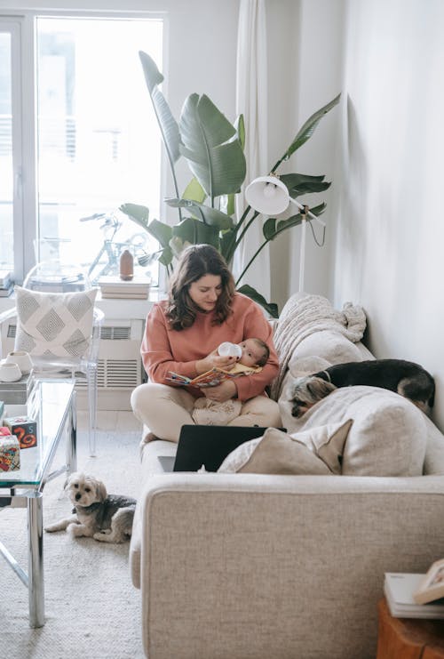 Free Caring mother feeding baby with bottle while sitting on sofa with laptop in modern room with dog and potted plant Stock Photo