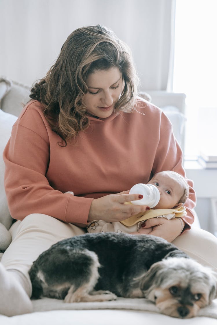 Mother Feeding Baby Near Dog In Room