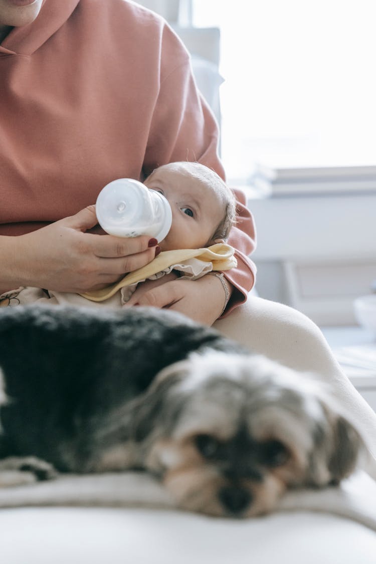 Faceless Mother Feeding Baby On Couch With Dog