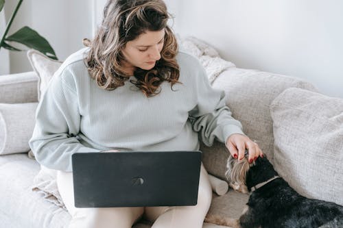 From above of crop young female freelancer in casual clothes sitting on comfortable sofa and caressing loyal purebred dog while working remotely on laptop
