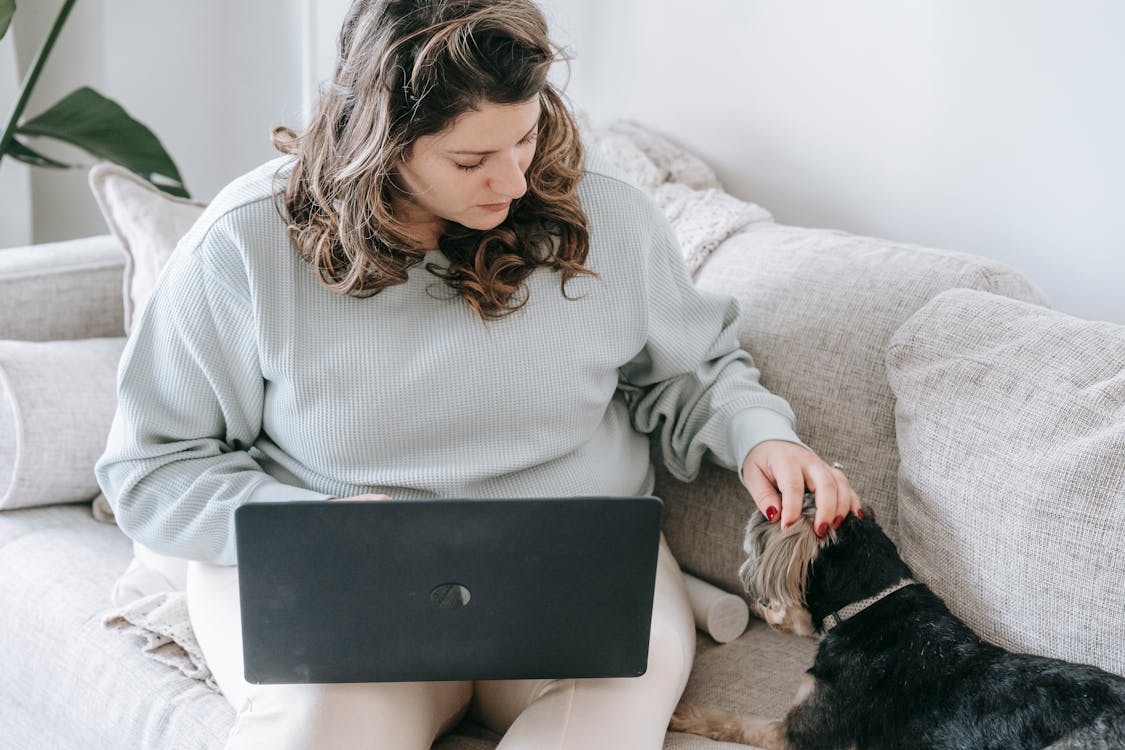From above of crop young female freelancer in casual clothes sitting on comfortable sofa and caressing loyal purebred dog while working remotely on laptop