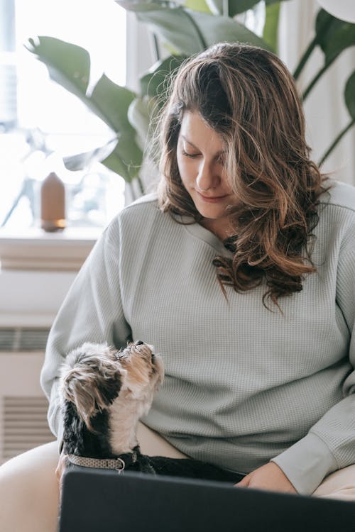 Young self employed woman with wavy hair in casual outfit looking at obedient Yorkshire Terrier dog while sitting on couch and working online on laptop