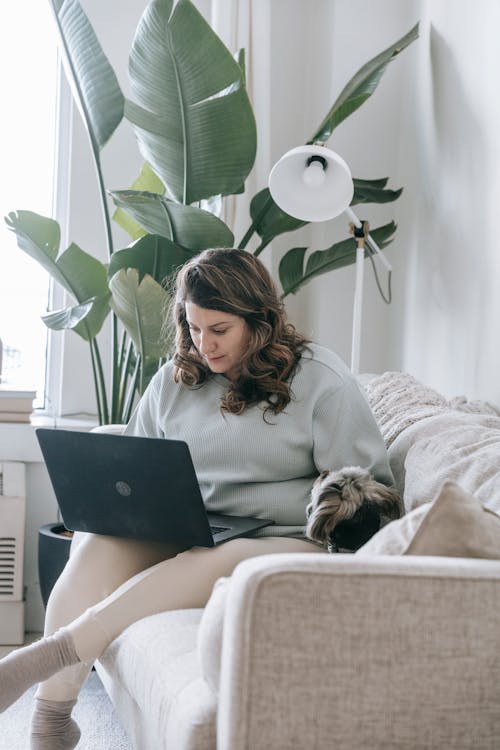 Concentrated young female freelancer in comfy outfit sitting on sofa and working remotely on laptop near cute Yorkshire Terrier dog at home