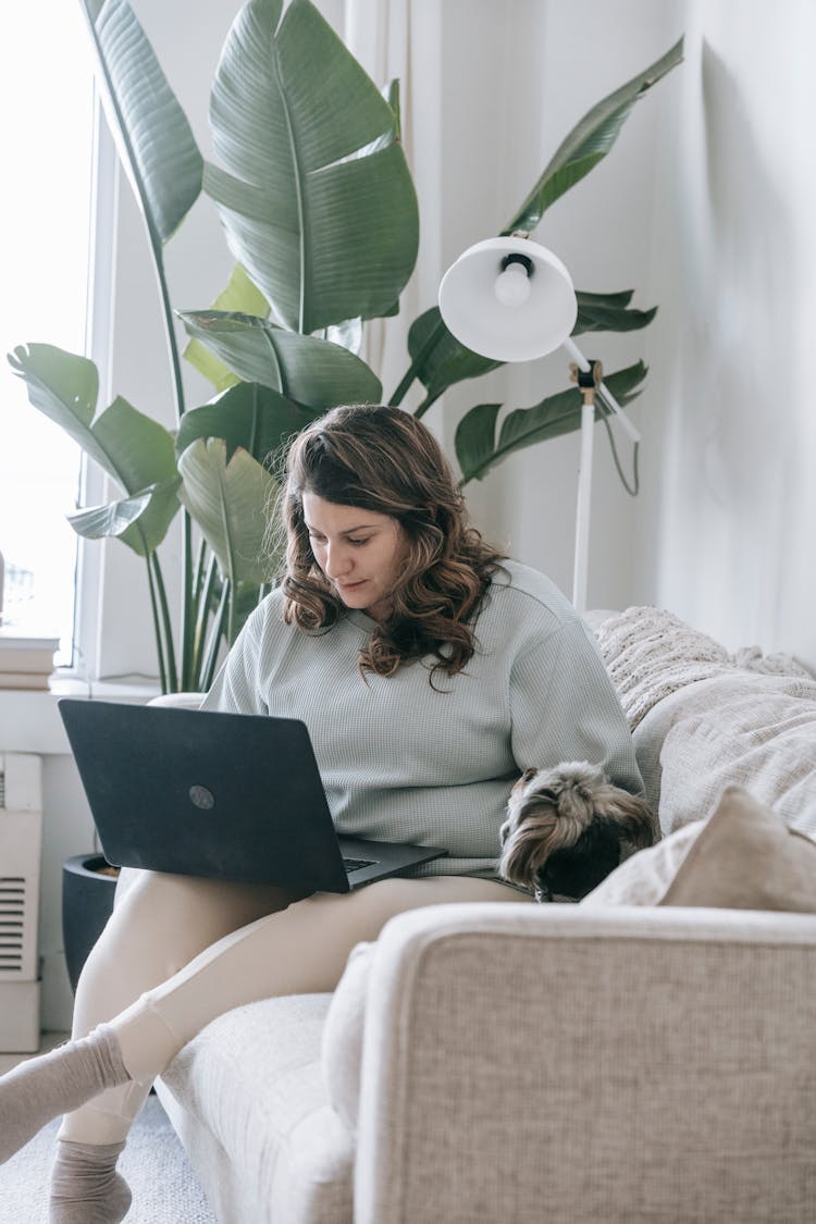 Self Employed Woman Stroking Dog And Working Distantly On Laptop