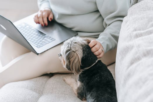 A woman working remotely on a laptop with her dog on the couch, a cozy indoor setting.