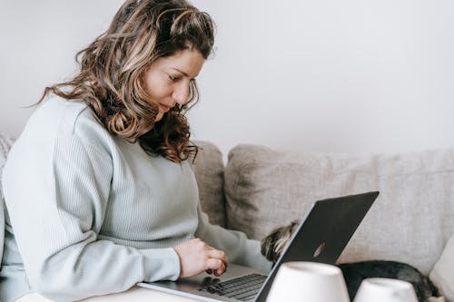 Focused young self employed lady in casual clothes using laptop and petting dog sitting on couch at home