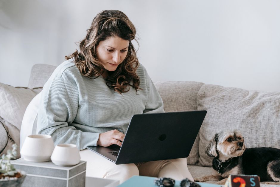Concentrated young self employed woman in casual clothes sitting on couch near cute Yorkshire Terrier dog and working online on laptop from home