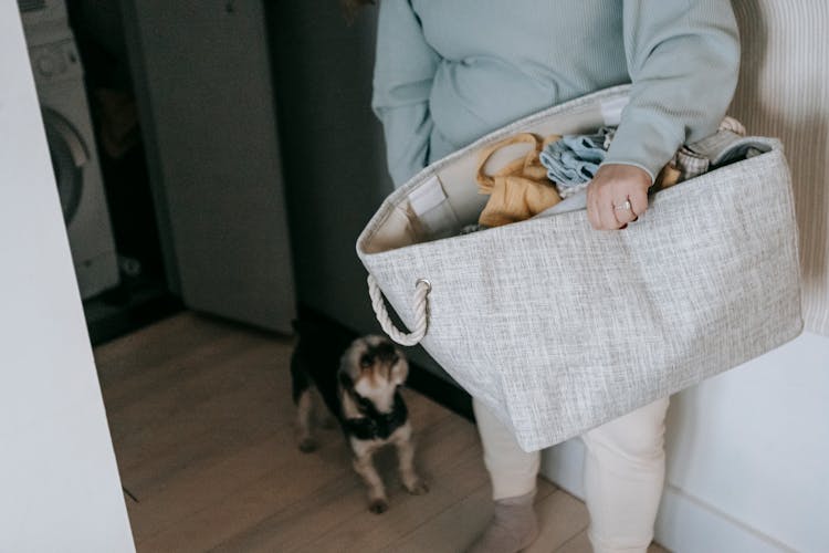 Anonymous Woman With Bag Of Clothes Near Dog