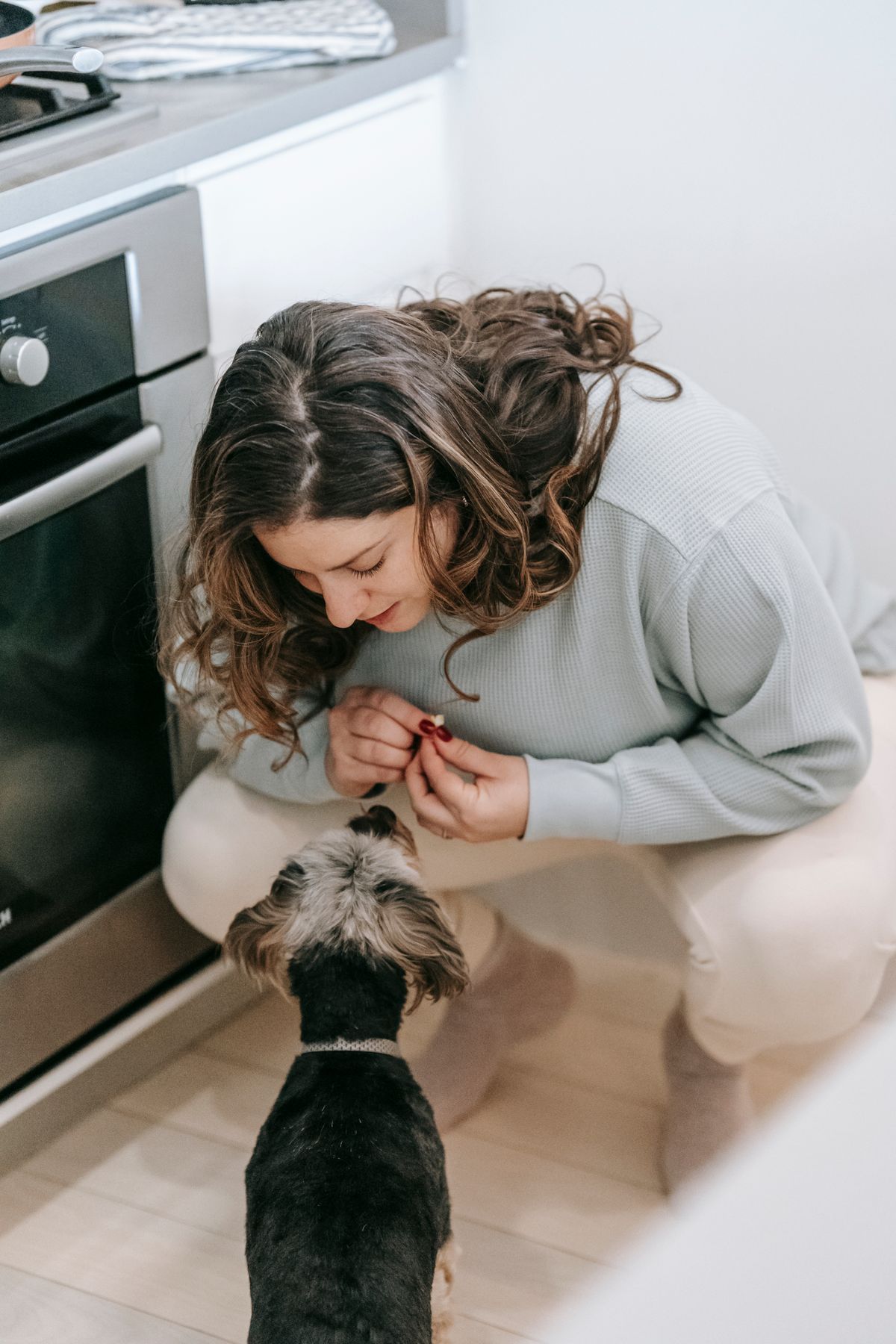 "Birch Sugar" Is Xylitol: Dog Toxicity, Hidden Sources & Paws Off Act Status