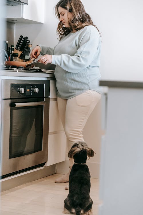 Free Side view of focused female cooking on cooker with frying pan while standing in light kitchen with dog at home Stock Photo