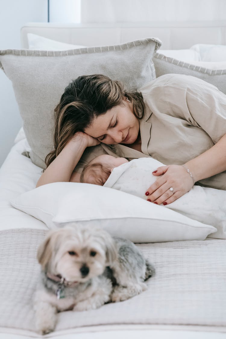 Positive Woman Caressing Baby On Bed With Dog