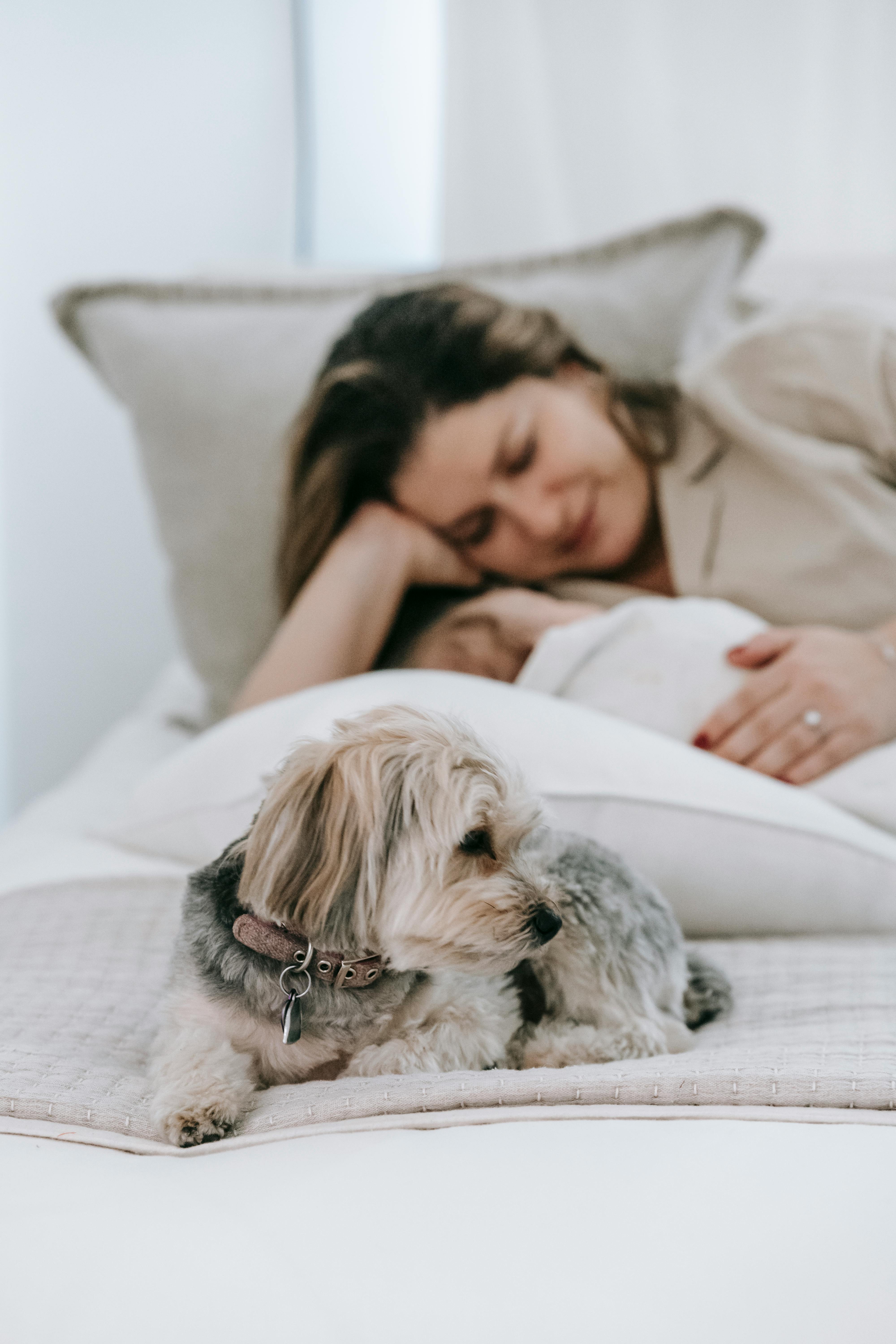 Cute dog lying near woman and infant baby