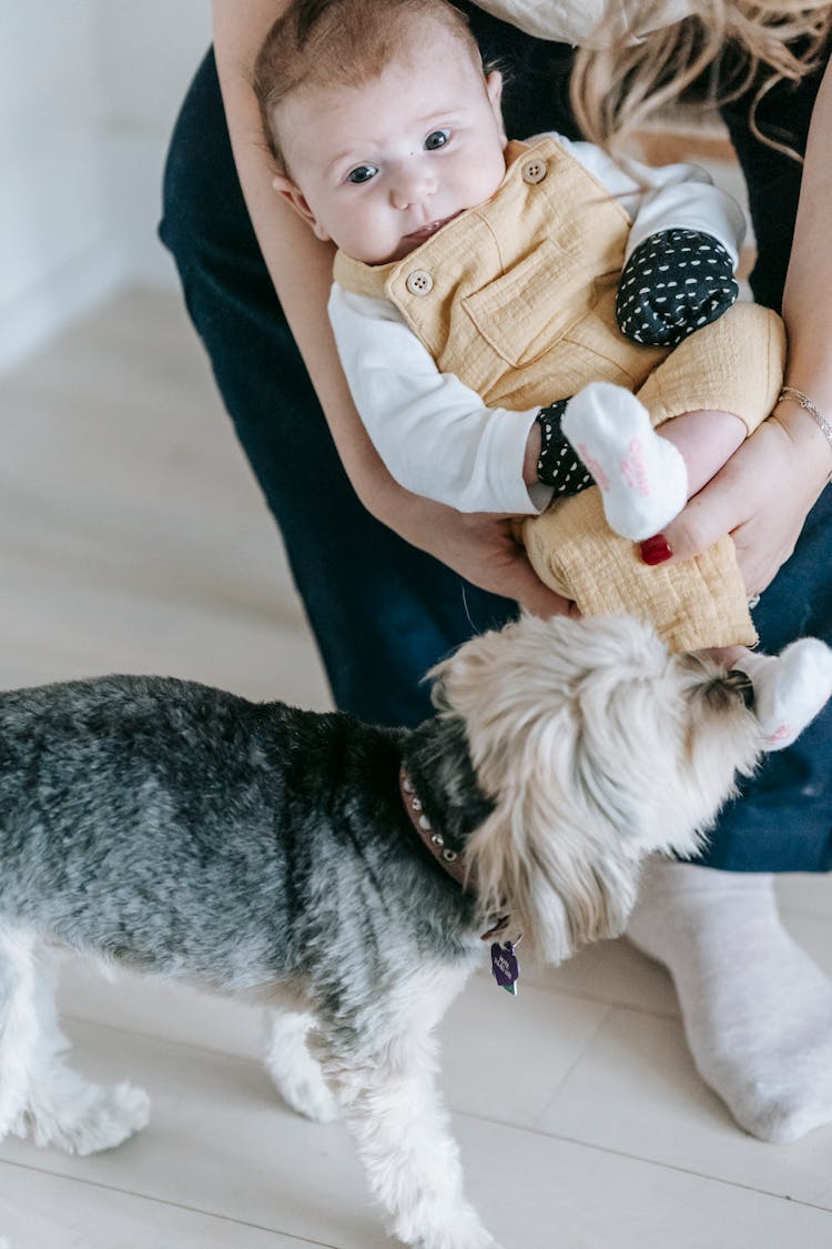 Faceless Mother With Baby Near Dog