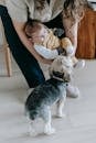 Crop woman holding infant baby in arms giving curious Morkie dog to sniff baby while sitting on chair at home