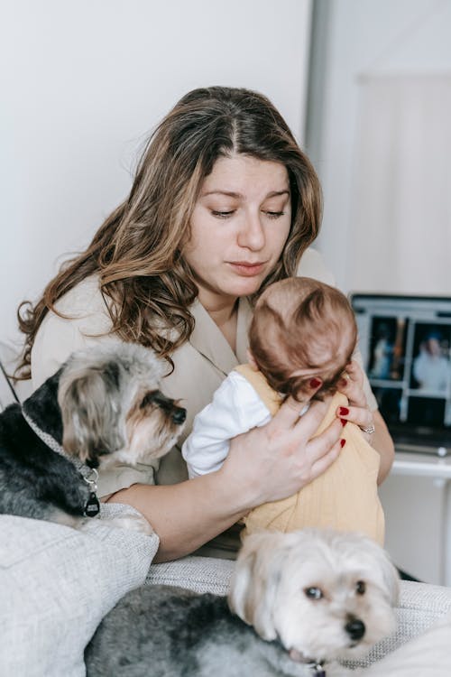 Foto d'estoc gratuïta de a casa, adorable, afecte