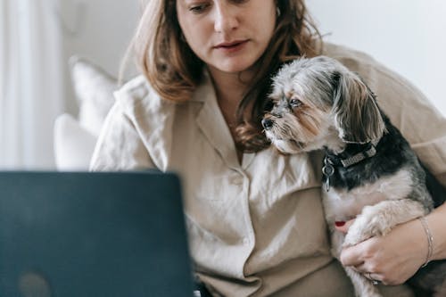 Woman working on laptop with dog near
