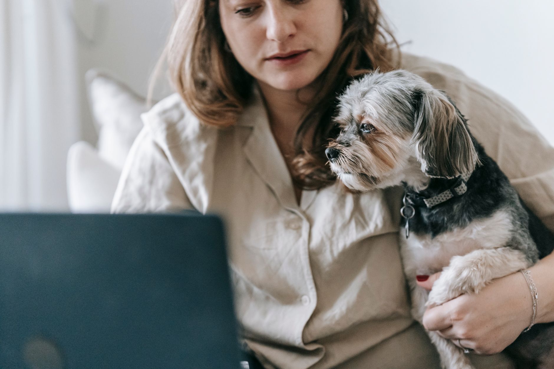 Crop female in casual clothes working on laptop while holding Morkie dog in arm at home