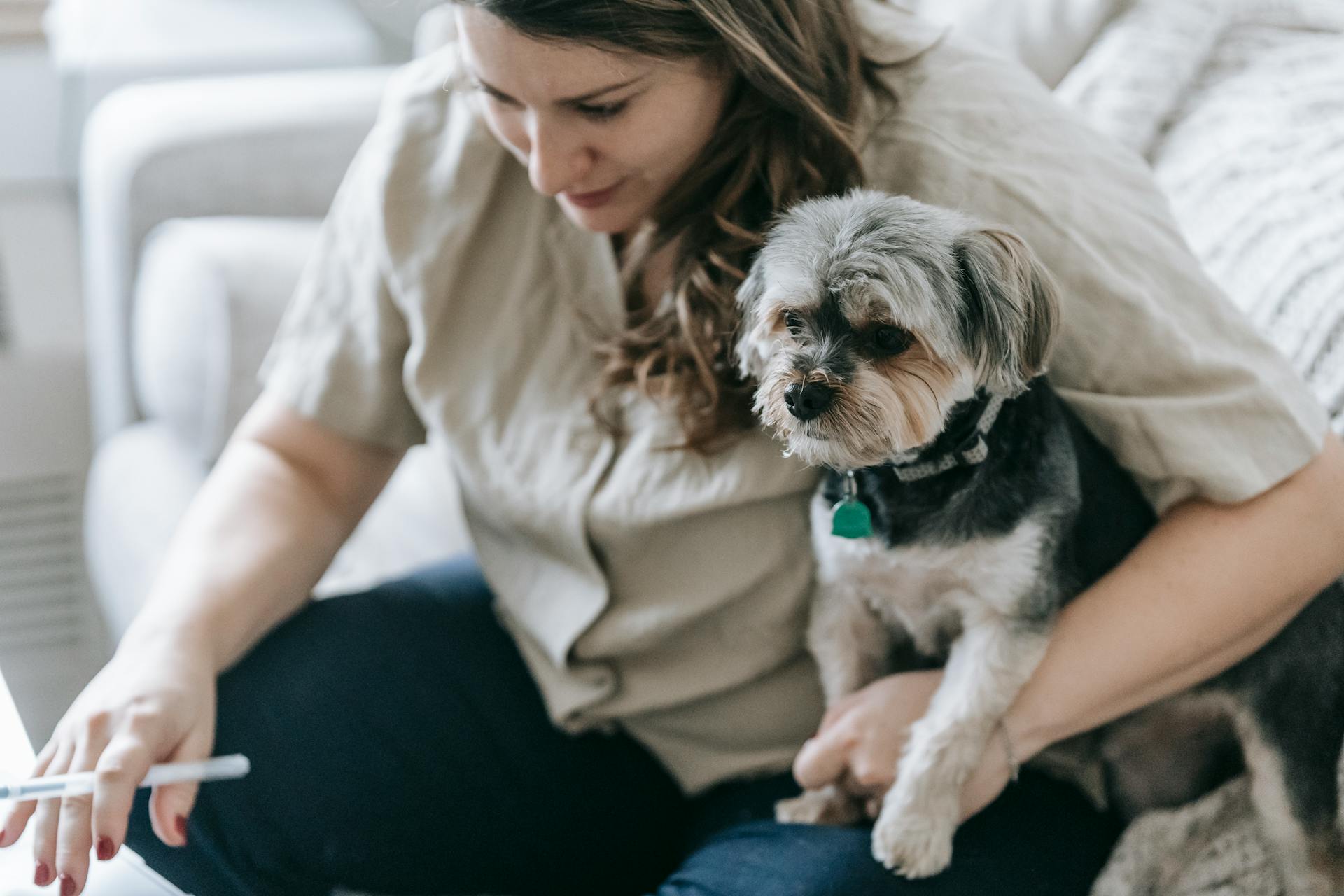 From above of lady sitting on comfortable sofa with pen and holding Morkie dog in arm in daylight during work