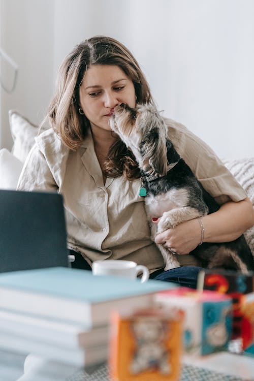 Cute Morkie dog licking face of focused female owner working laptop at table with books and cups
